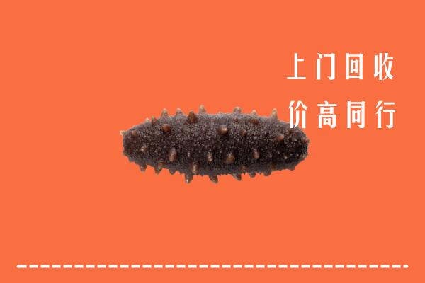 高价求购：新和回收海参