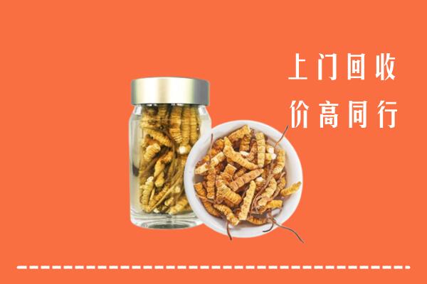 新和回收冬虫夏草