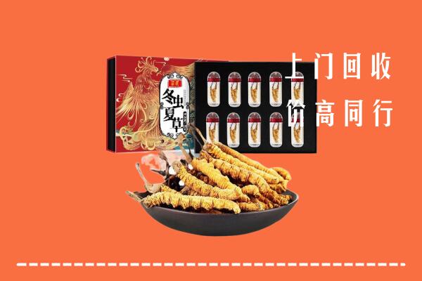 新和回收虫草